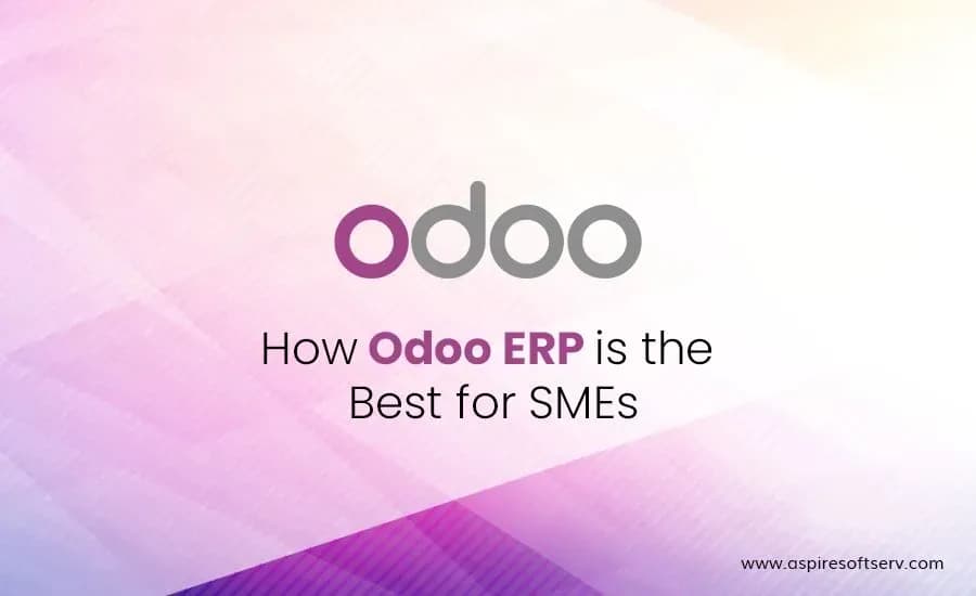 How-Odoo-ERP-is-the-Best-for-SMEs.webp