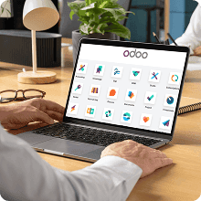 Hands-on leadership through complex ERP implementations, migrations, and business process improvements for global clients.